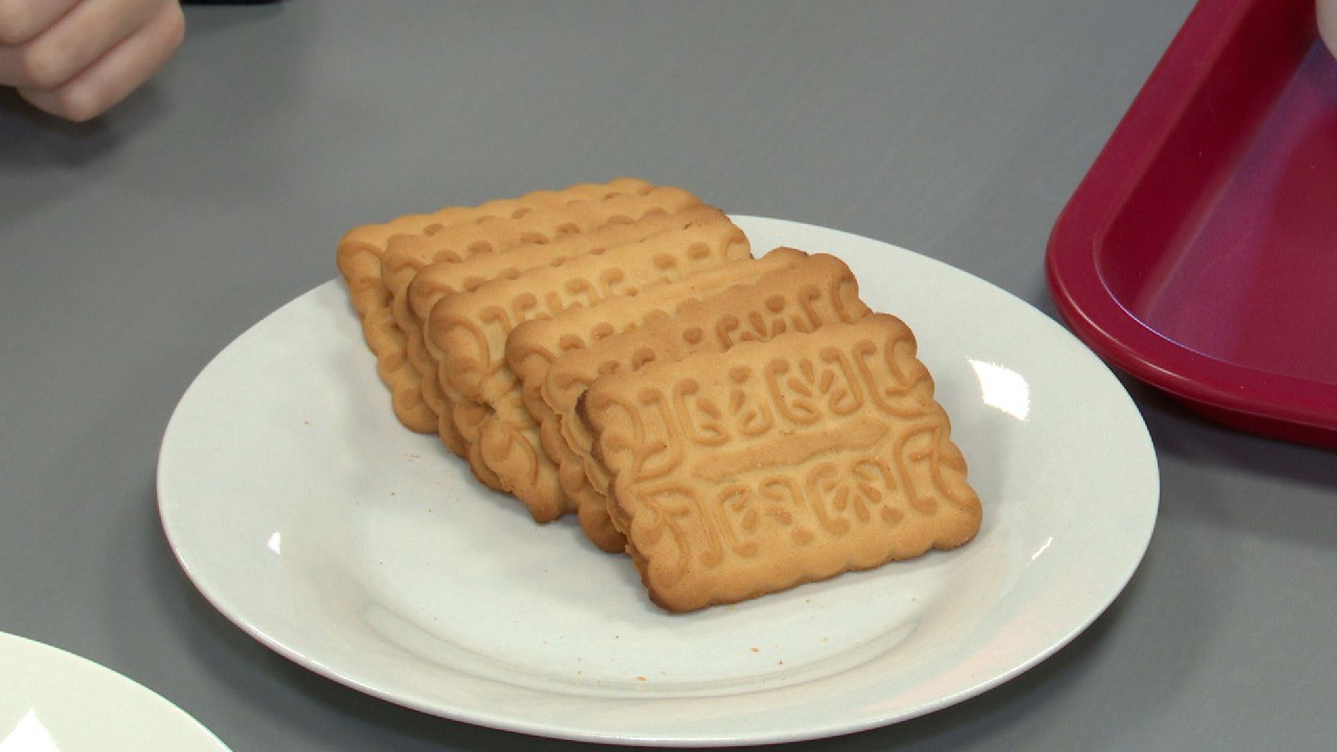 реутов, вертикалки, открытие школы, образование,