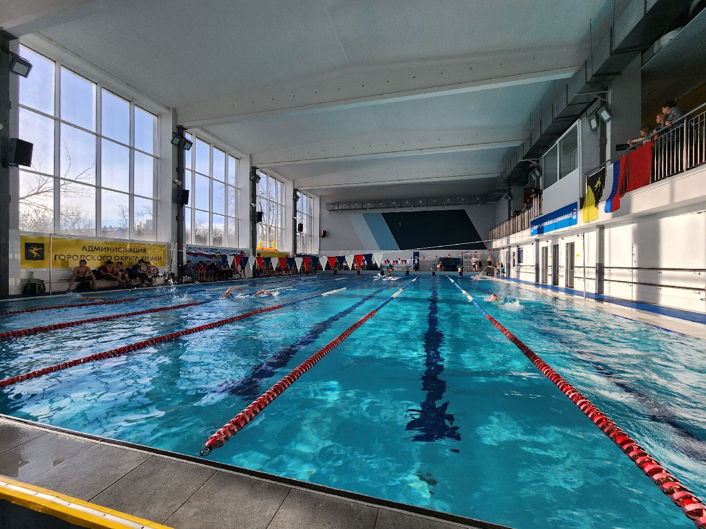 Химки, спорт, плавание, вертикалки,