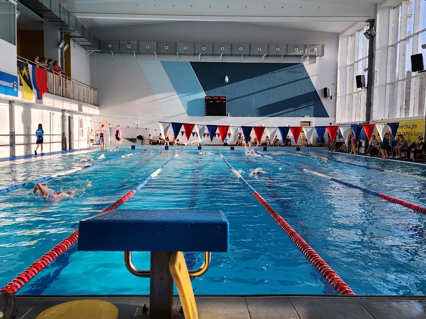 Химки, спорт, плавание, вертикалки,