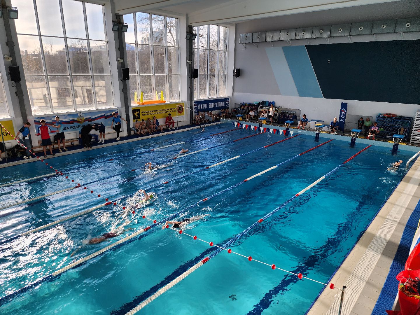 Химки, спорт, плавание, вертикалки,
