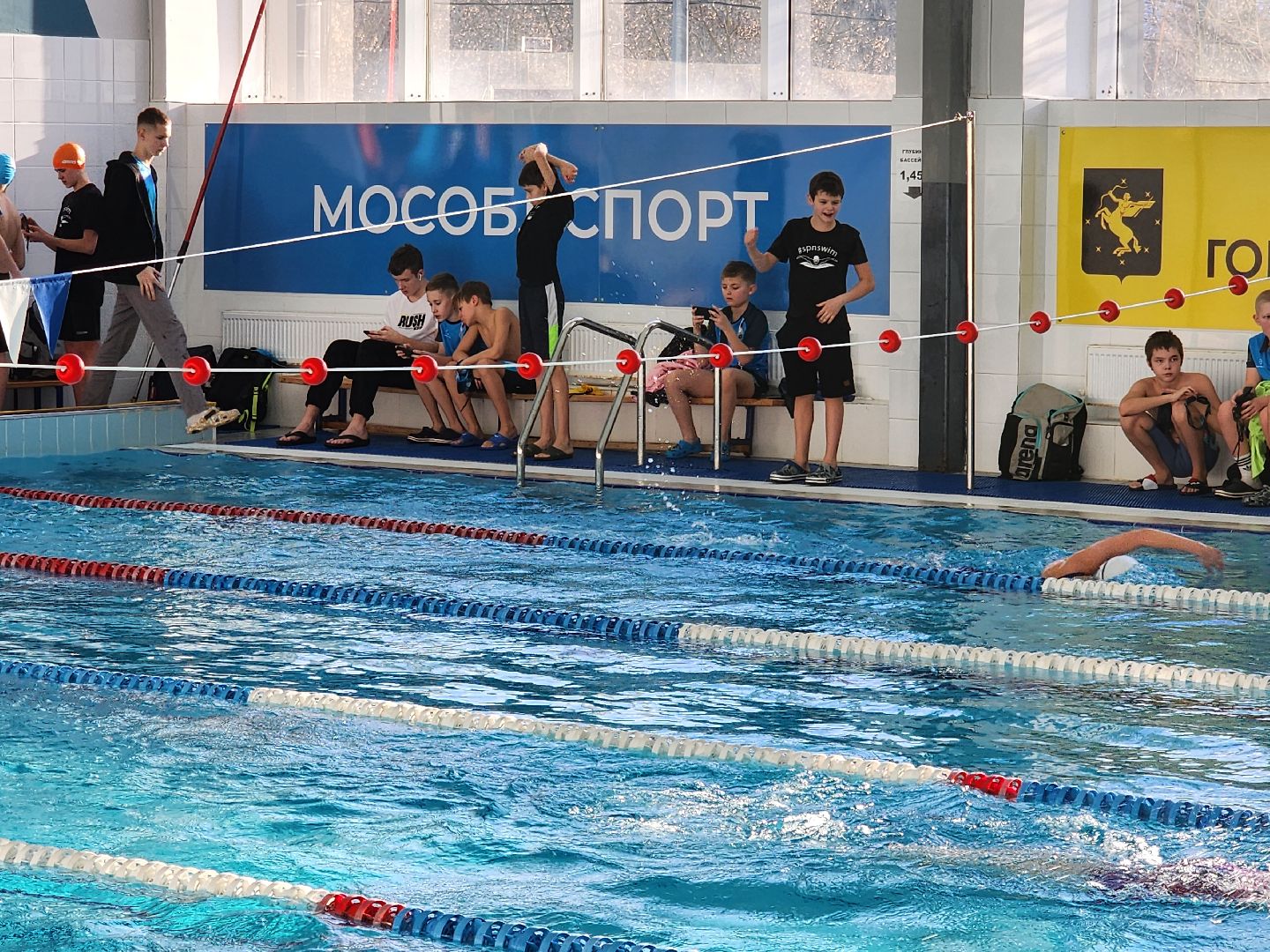 Химки, спорт, плавание, вертикалки,