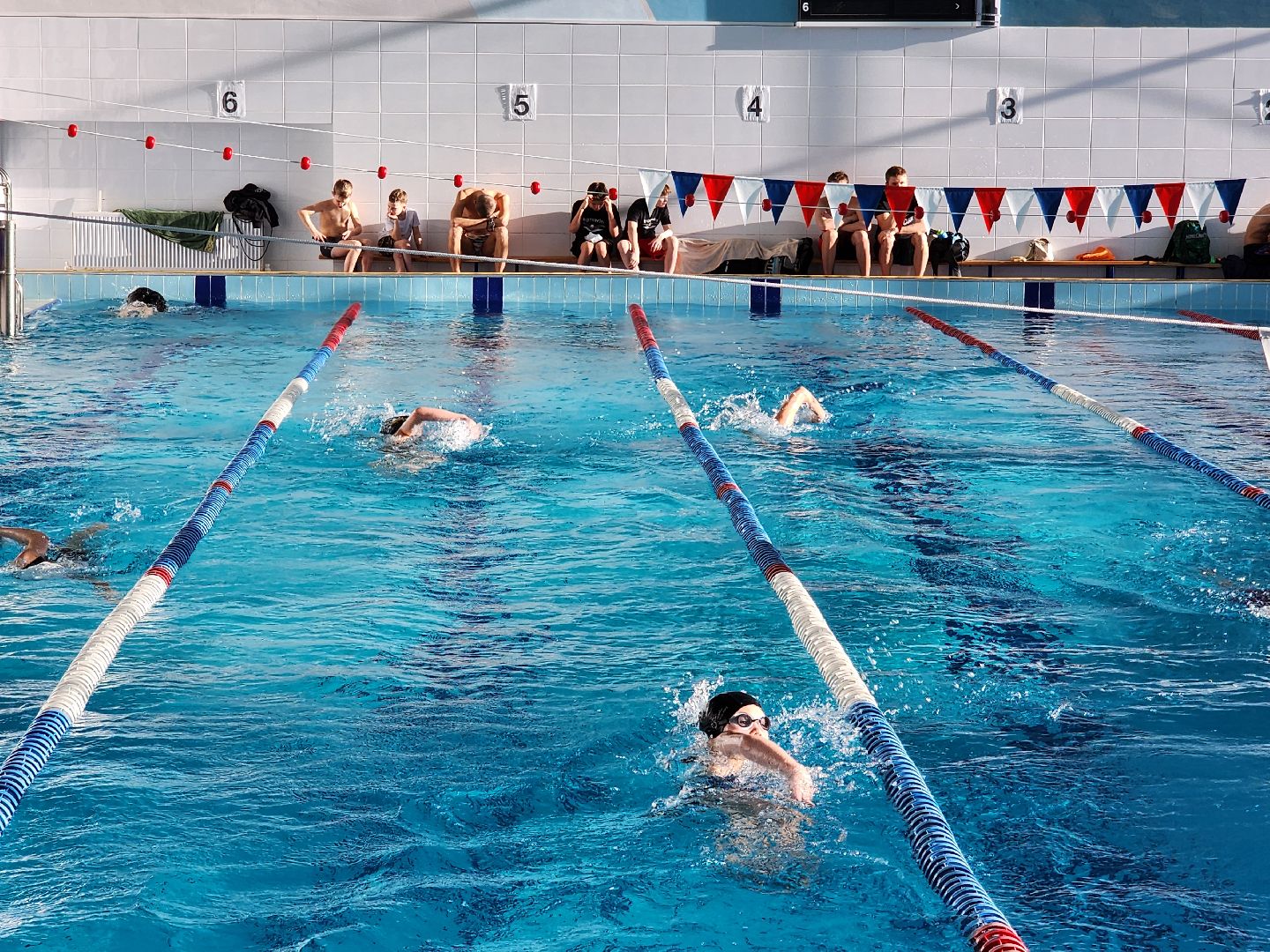 Химки, спорт, плавание, вертикалки,