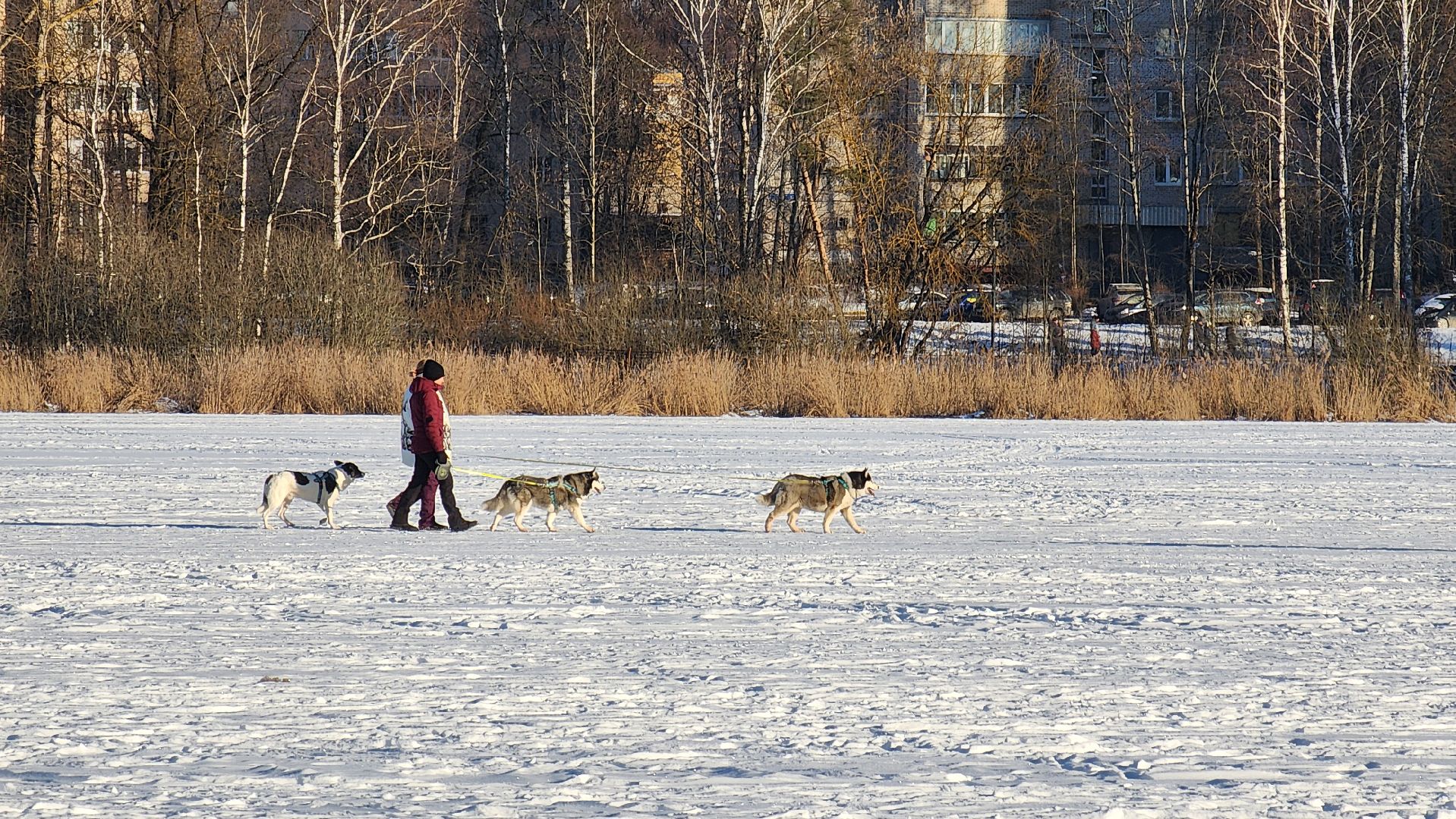 солнечногорск, вертикалки, озеро сенеж,