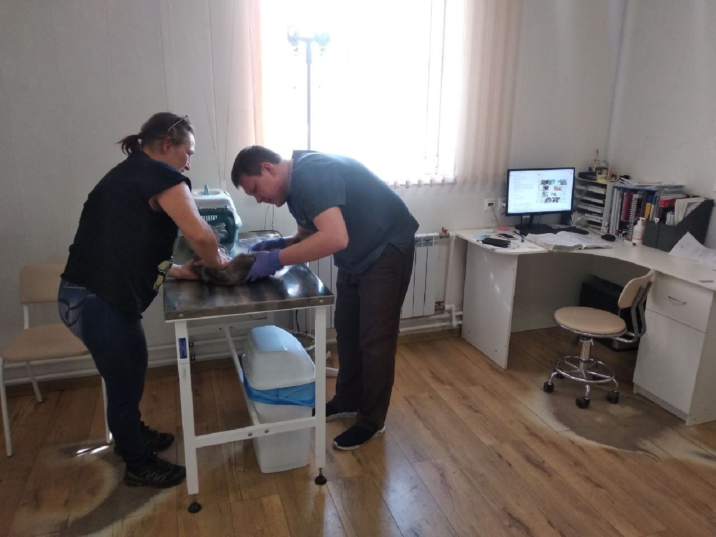 Дмитров, Ветеринарная станция, Общество