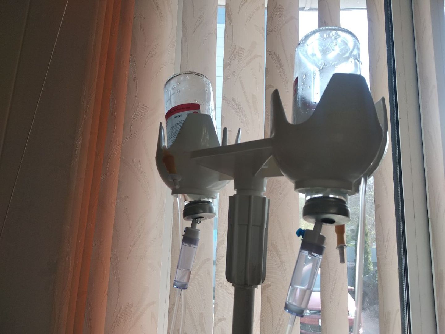 Дмитров, Ветеринарная станция, Общество