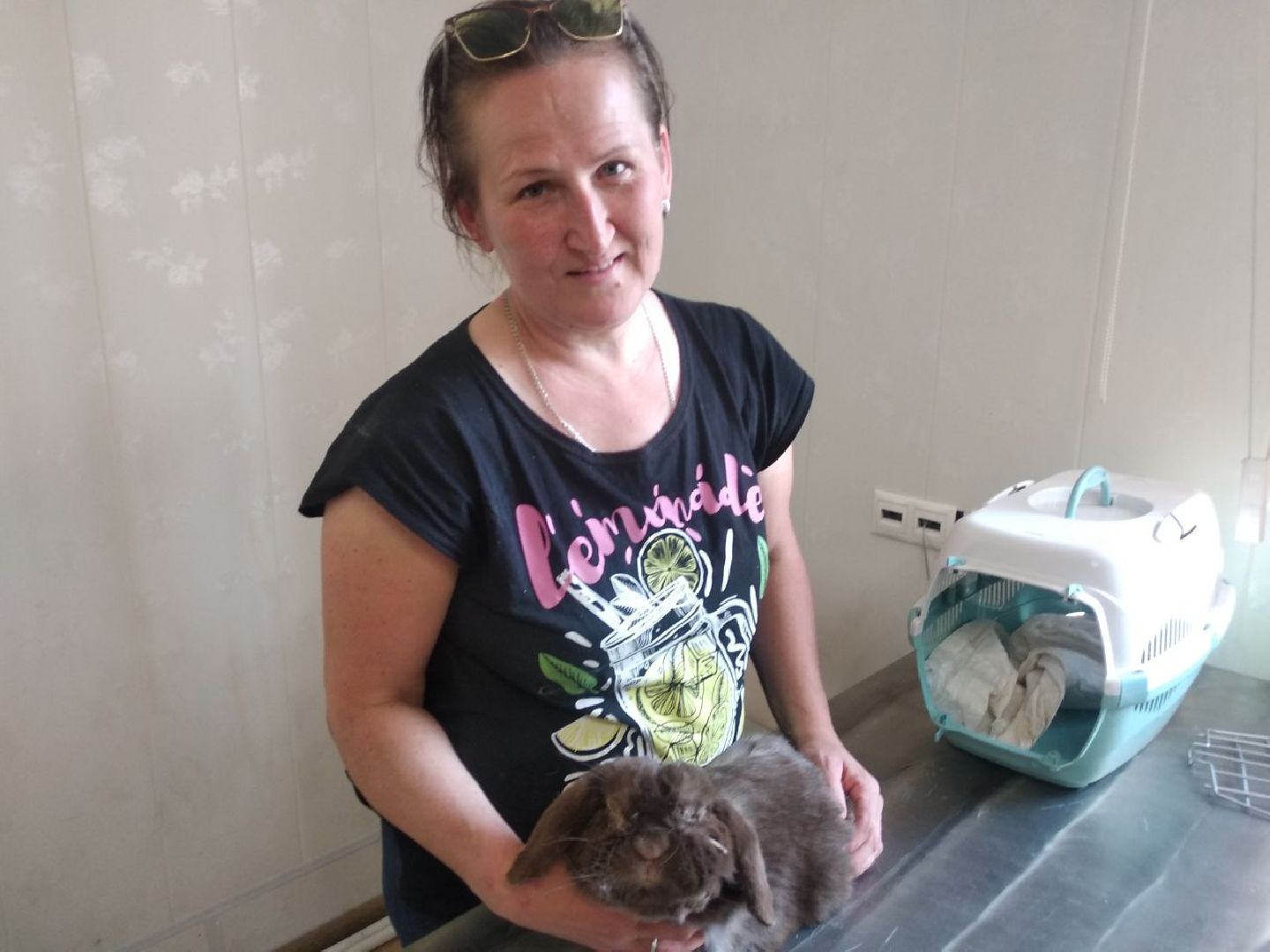 Дмитров, Ветеринарная станция, Общество