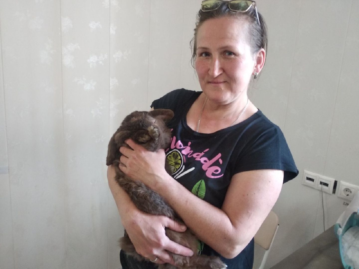 Дмитров, Ветеринарная станция, Общество