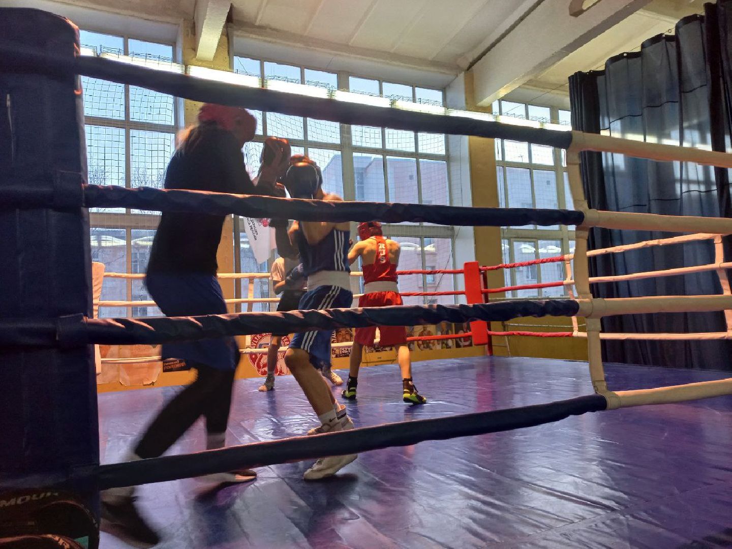 сергиев посад, бокс, первенство мо по боксу, зал портненко, алексей павлик, степан цыганов,луч,