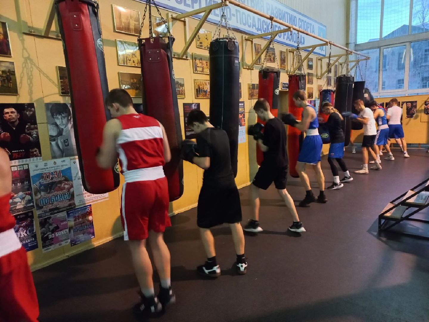сергиев посад, бокс, первенство мо по боксу, зал портненко, алексей павлик, степан цыганов,луч,
