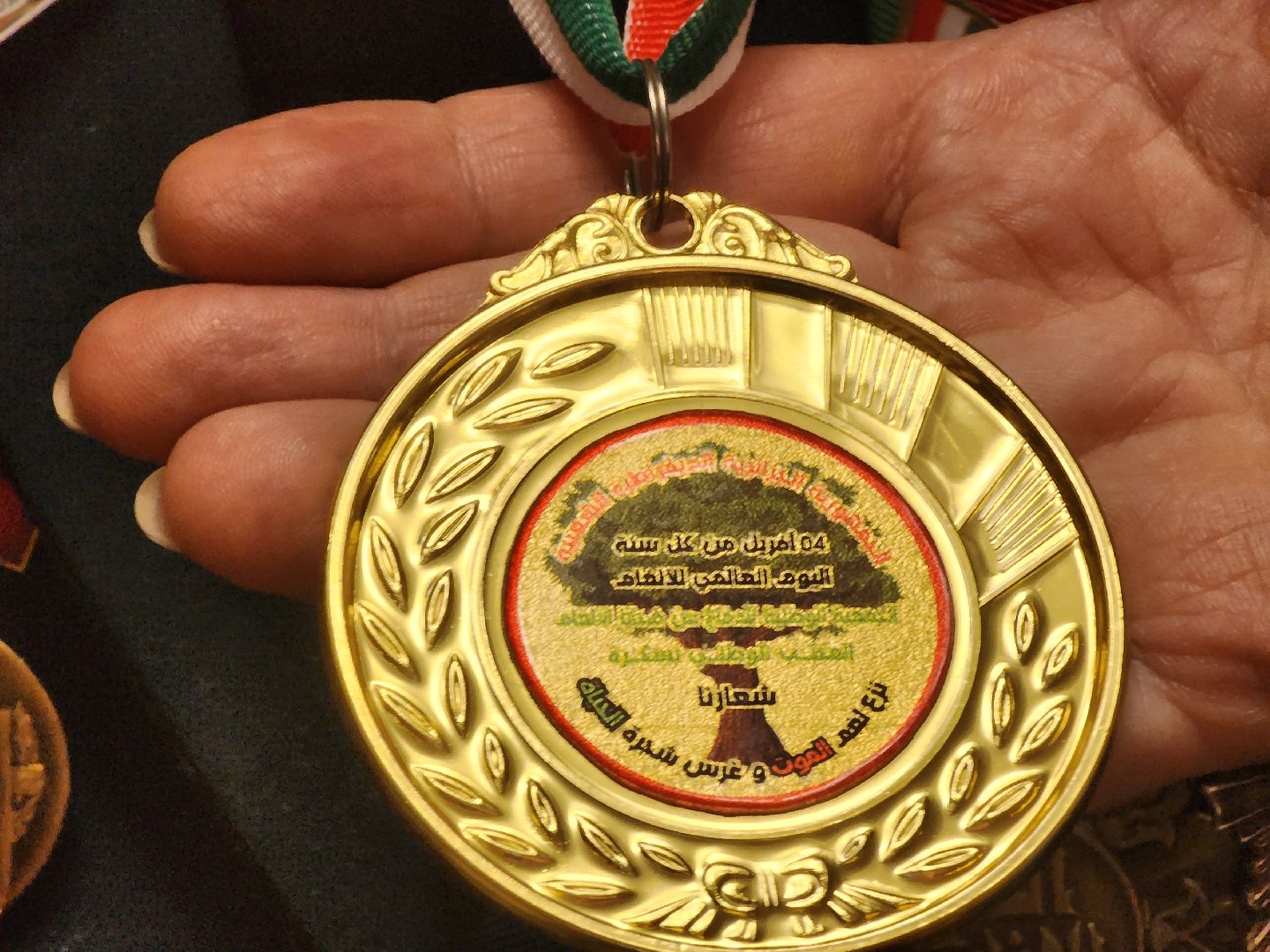 долгопрудный, хлебниково, Алжир, Андрей Павленко, Разминирование в Алжире, вертикалки,