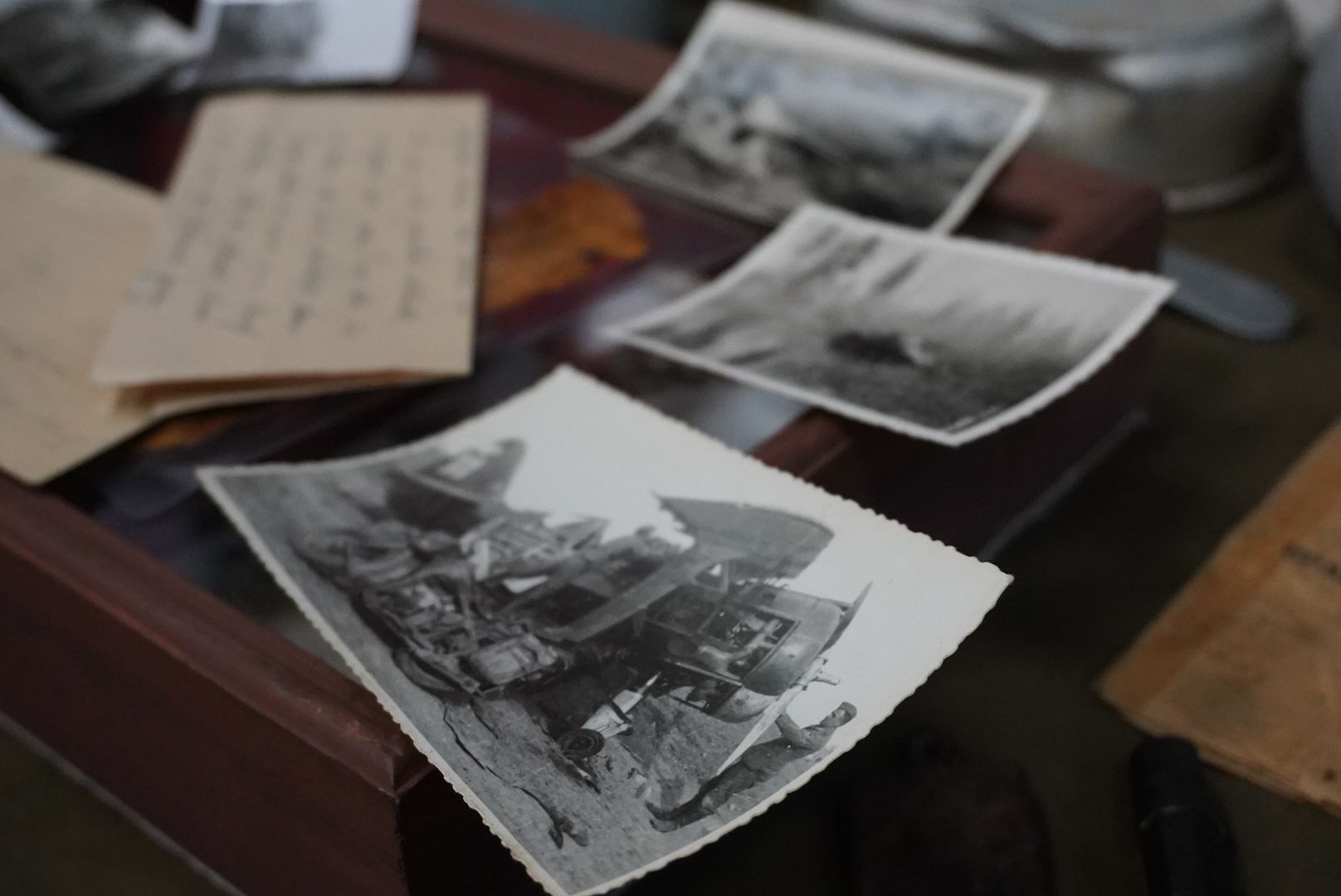 вертикалки, Павловский Посад, История, Выставка,