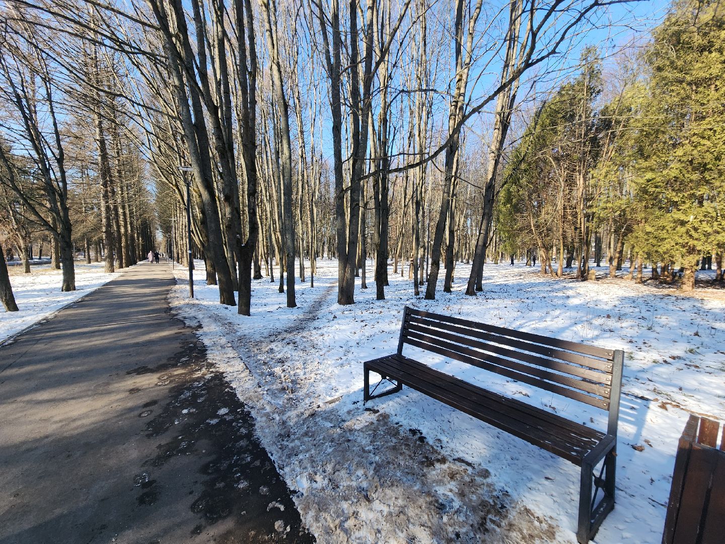 пущино, серпухов, пешком, ремонт дорог,