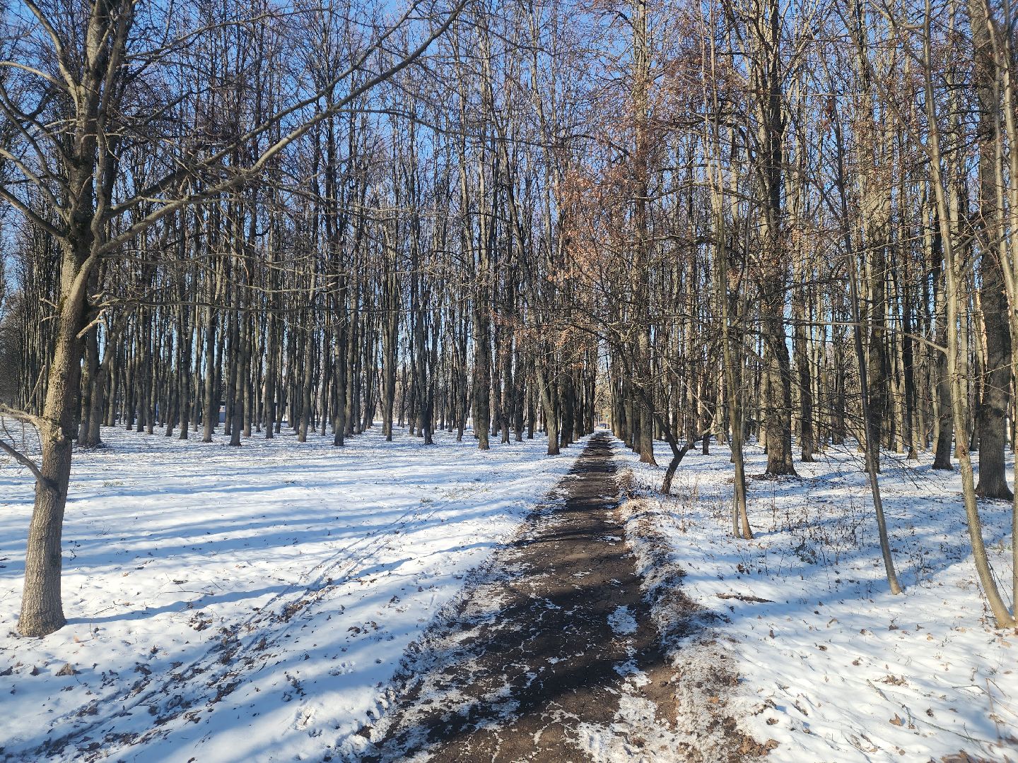 пущино, серпухов, пешком, ремонт дорог,