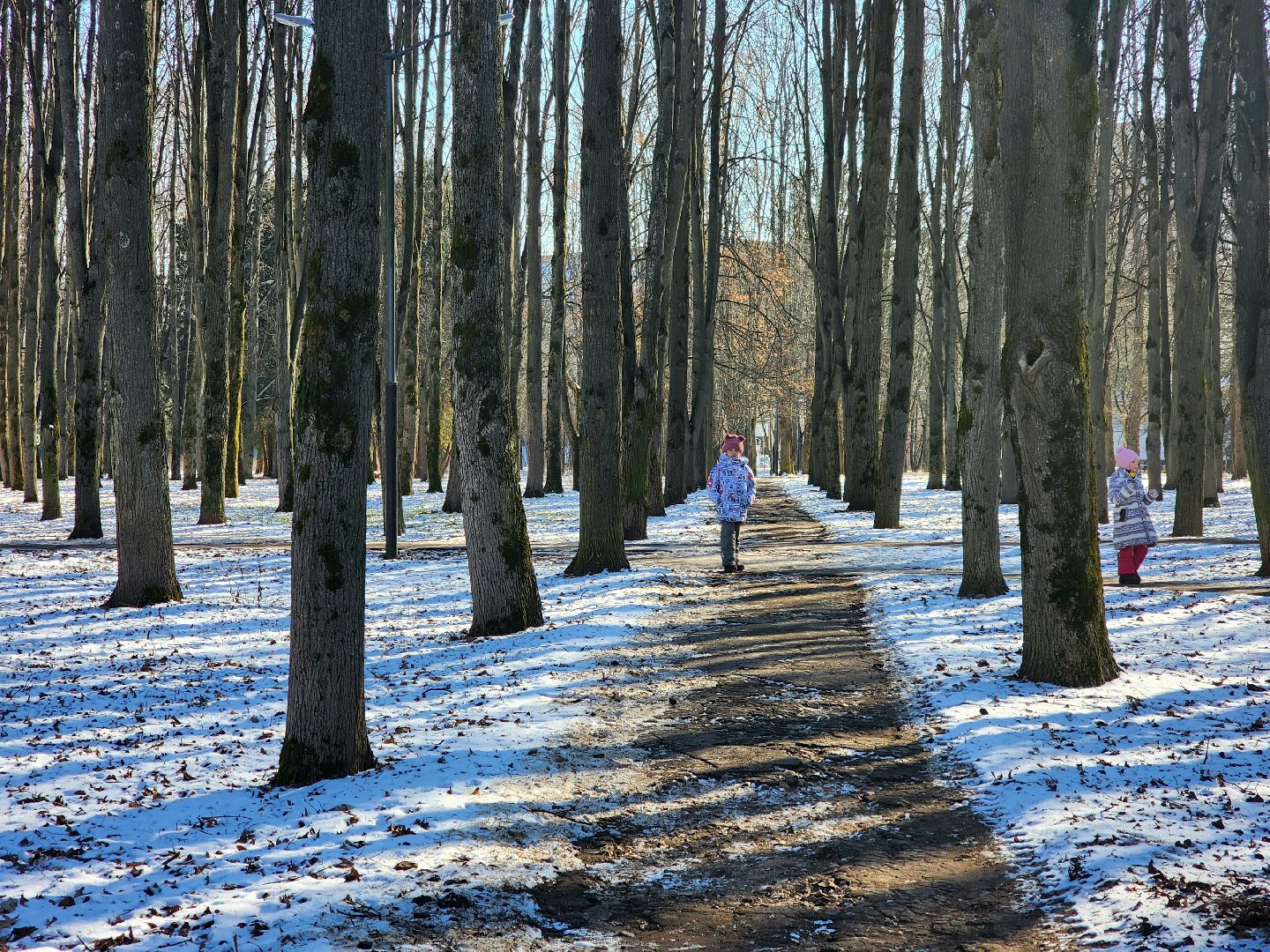 пущино, серпухов, пешком, ремонт дорог,
