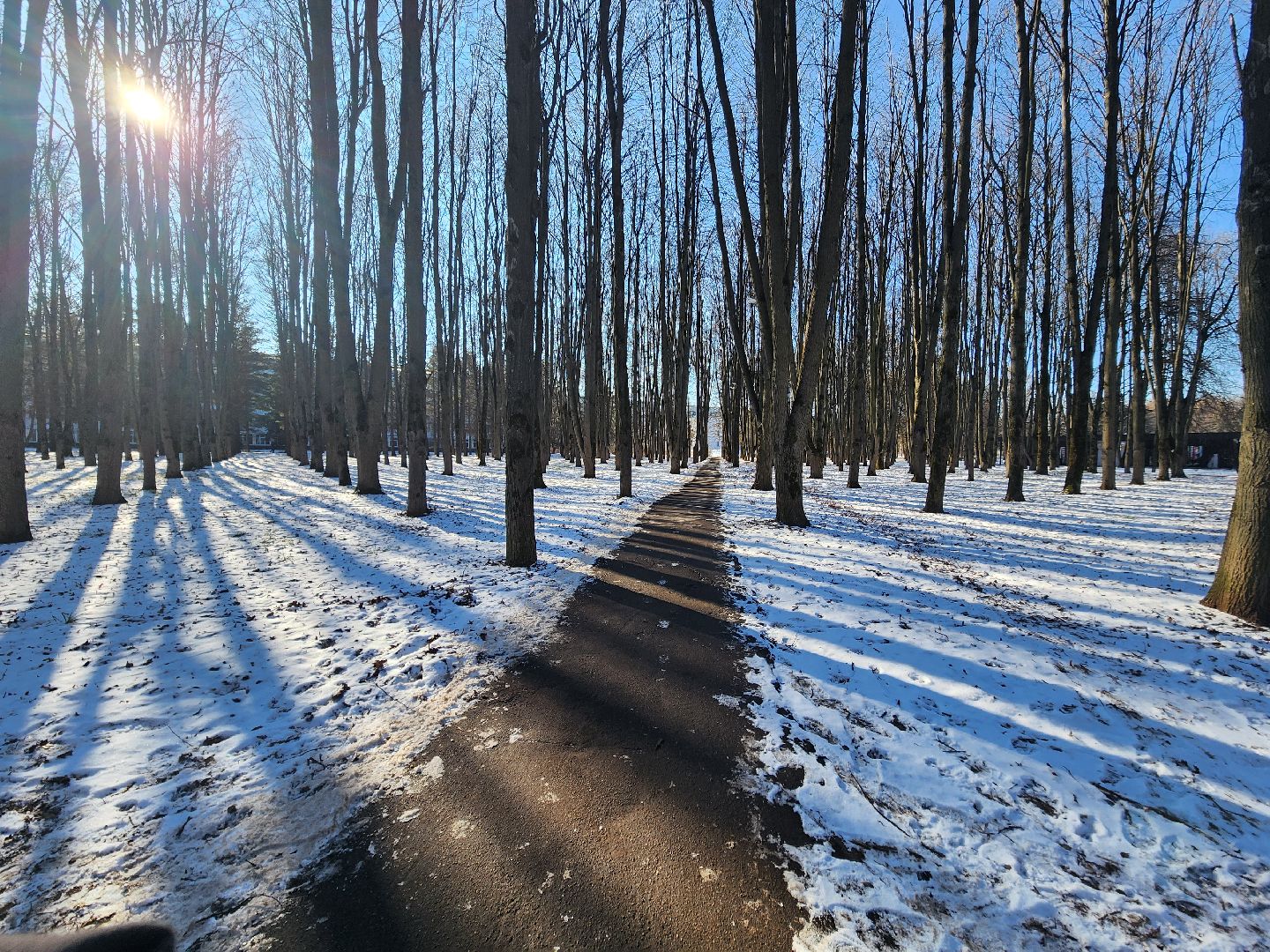 пущино, серпухов, пешком, ремонт дорог,