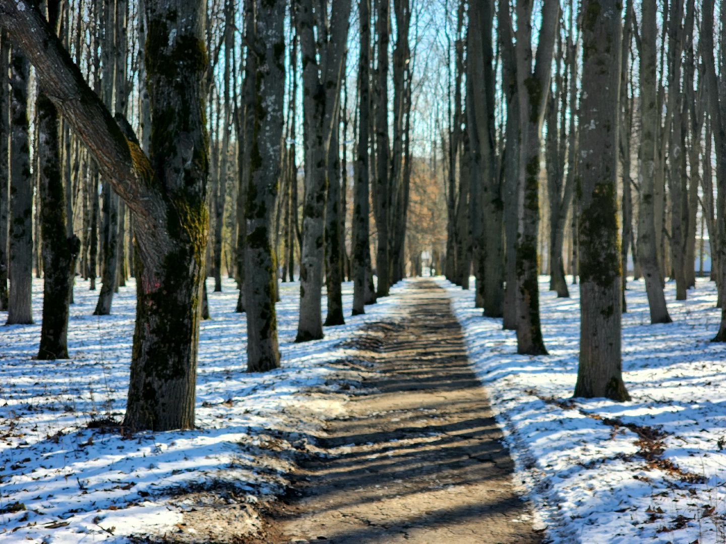 пущино, серпухов, пешком, ремонт дорог,