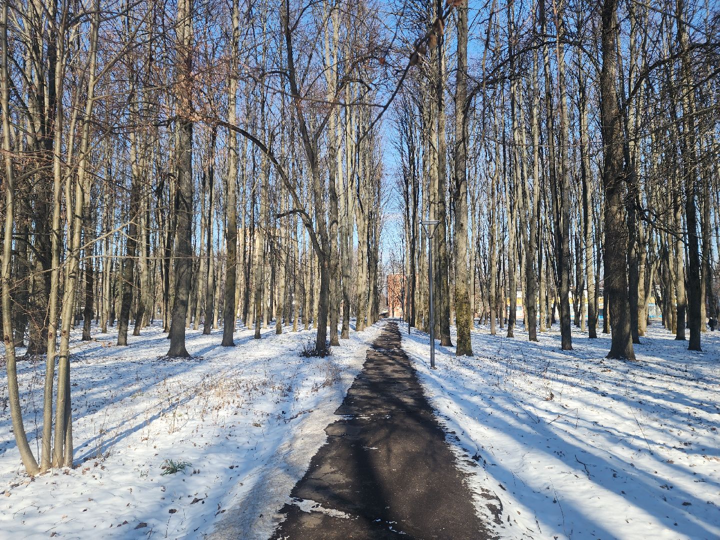 пущино, серпухов, пешком, ремонт дорог,