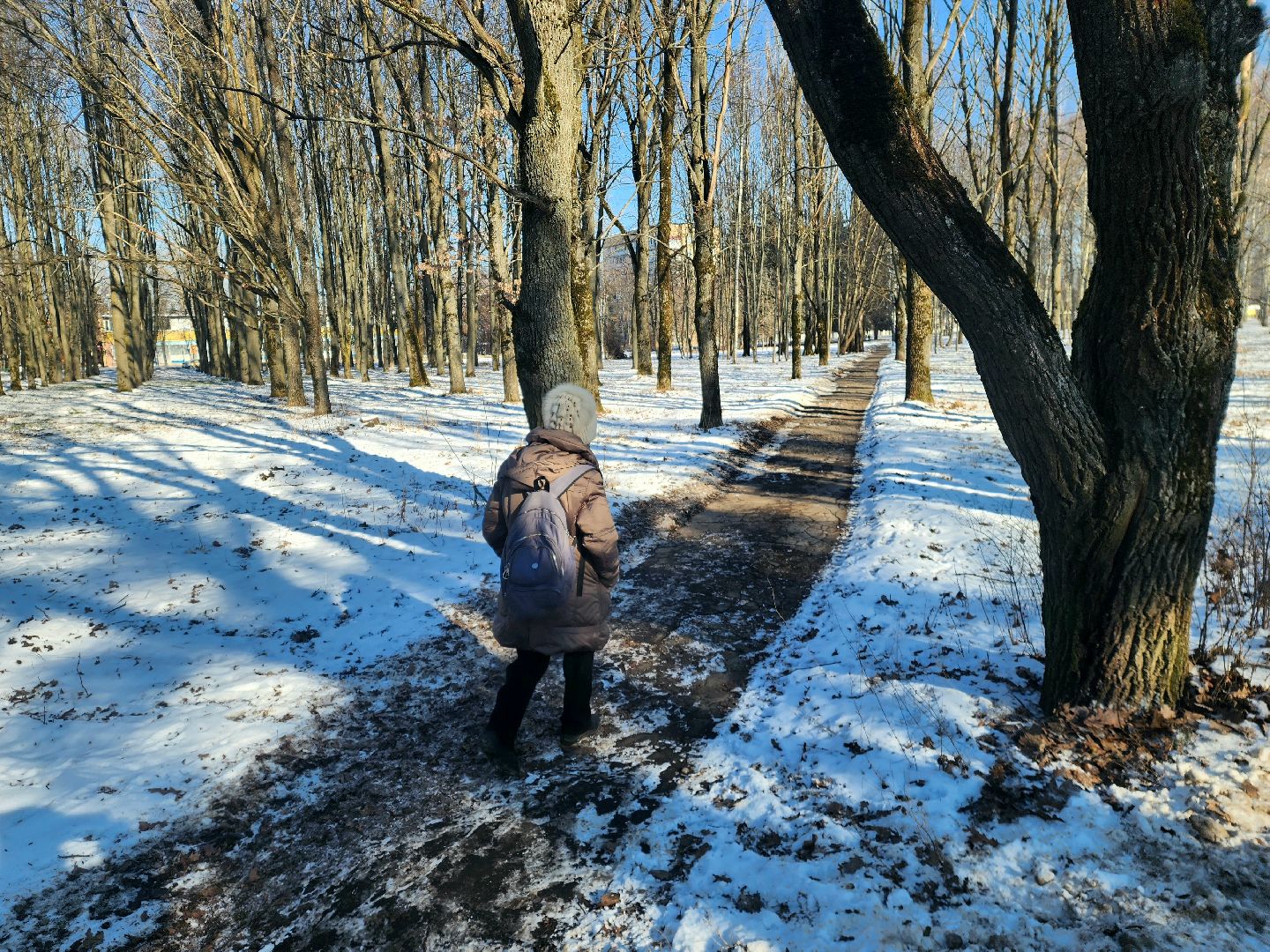 пущино, серпухов, пешком, ремонт дорог,