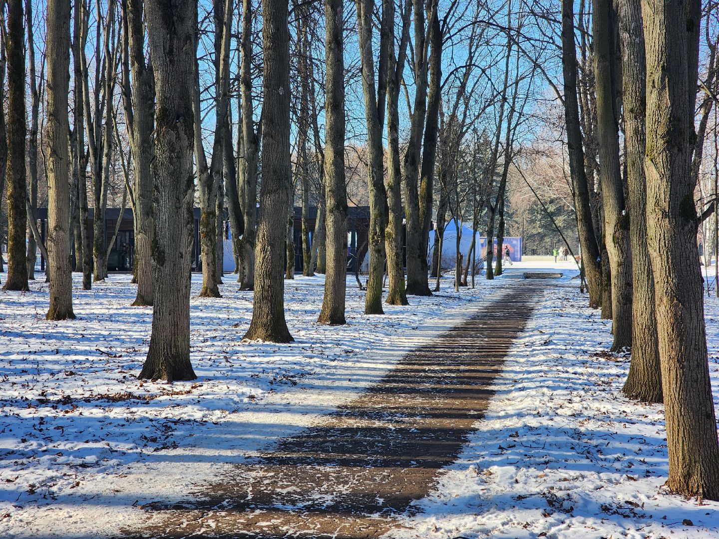 пущино, серпухов, пешком, ремонт дорог,