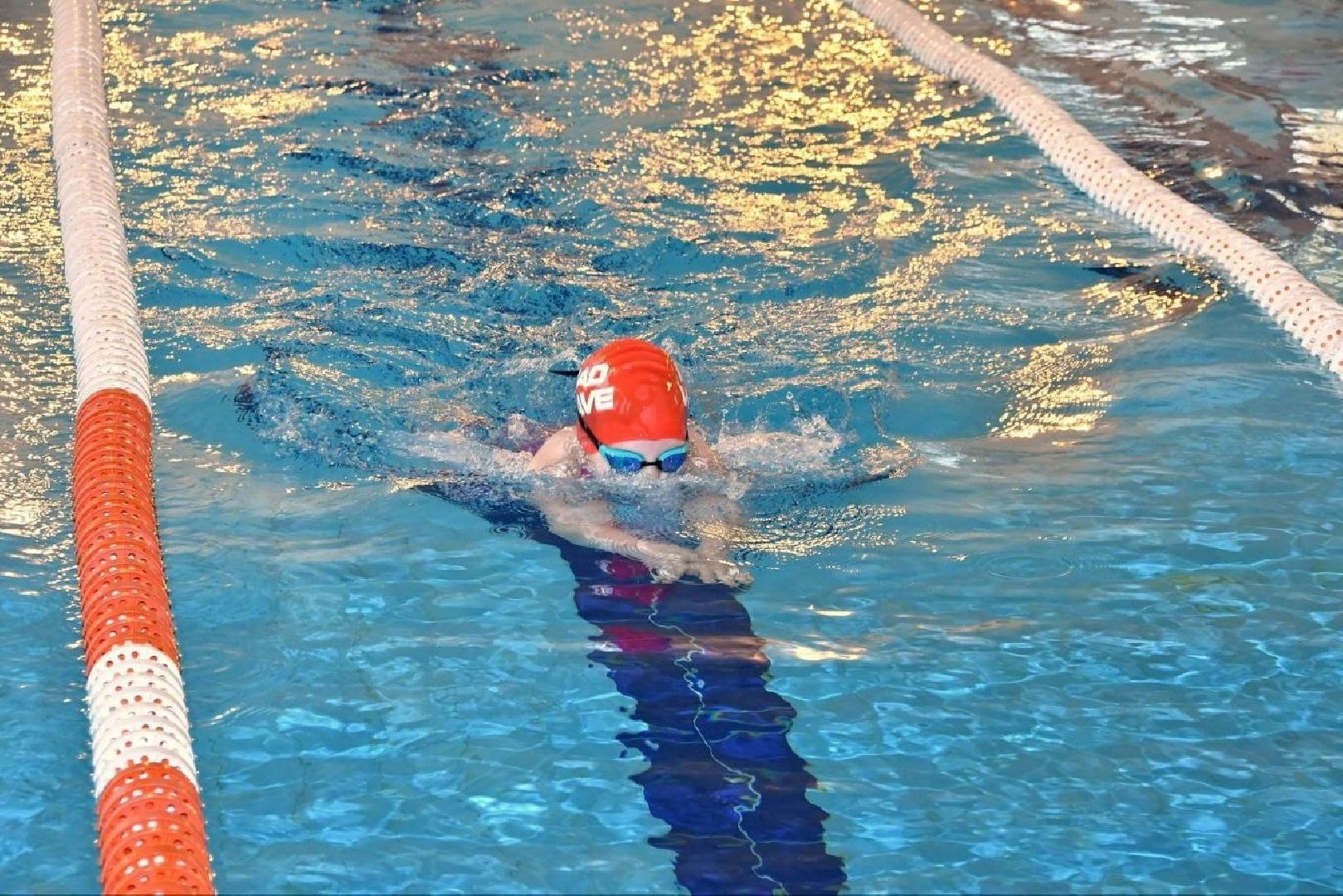 вертикалки, плавание, первенство по плаванию, власиха плавание, школа Перспектива, Власиха Перспектива,спортшкола Власиха,