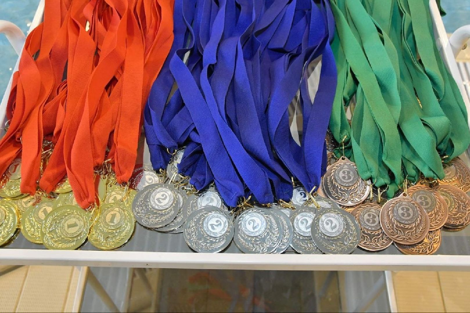 вертикалки, плавание, первенство по плаванию, власиха плавание, школа Перспектива, Власиха Перспектива,спортшкола Власиха,