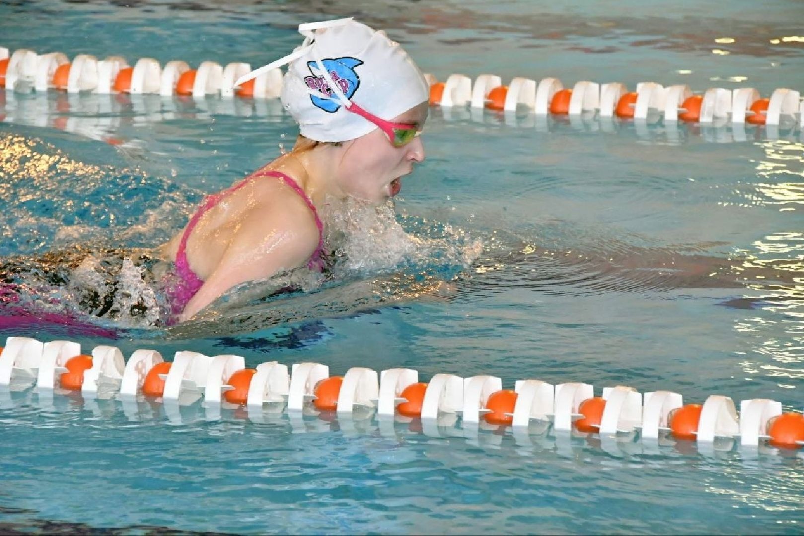 вертикалки, плавание, первенство по плаванию, власиха плавание, школа Перспектива, Власиха Перспектива,спортшкола Власиха,