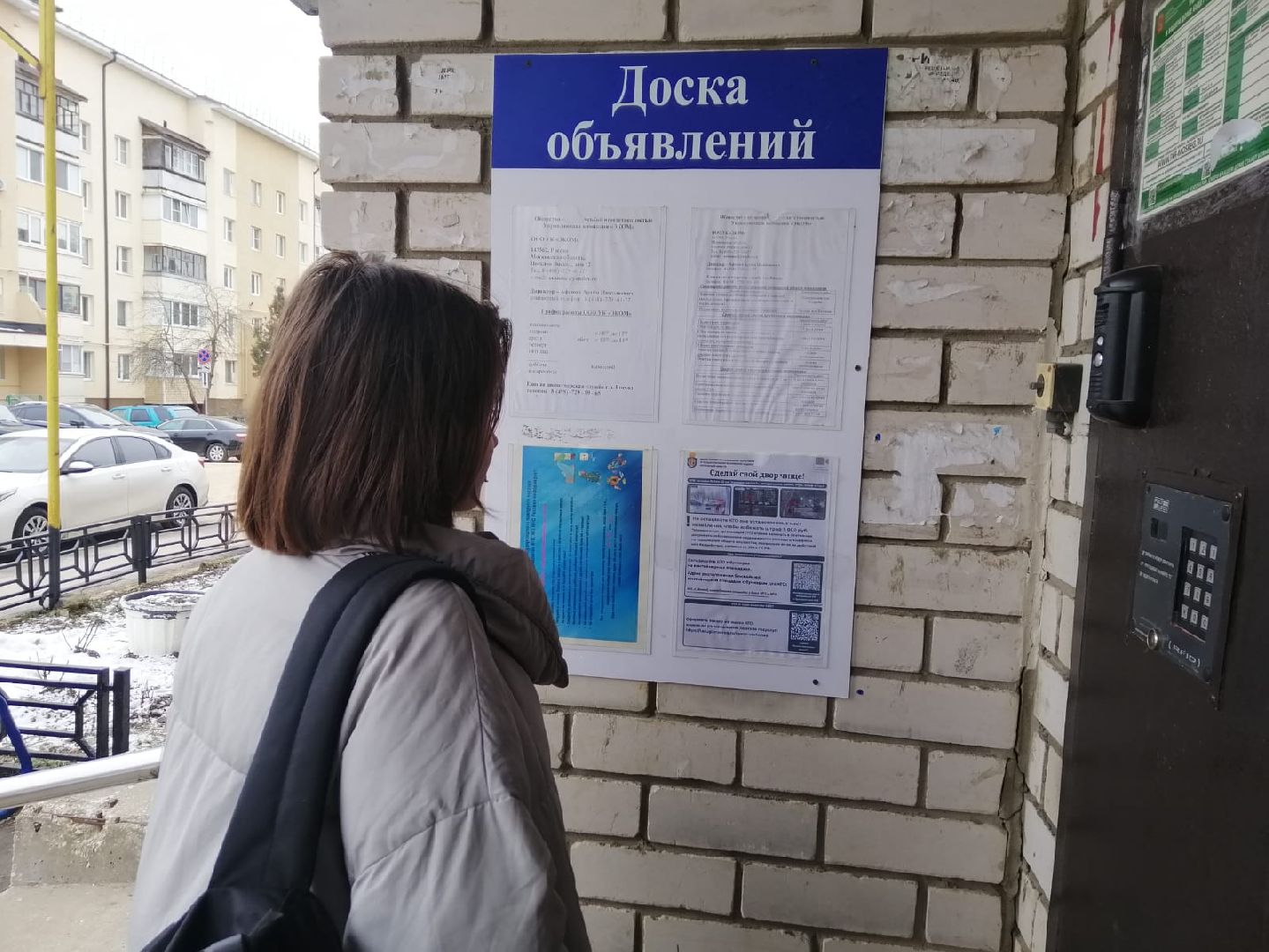 городской округ восход, сделай свой двор чище, вертикалки,незаконный выброс мусора,