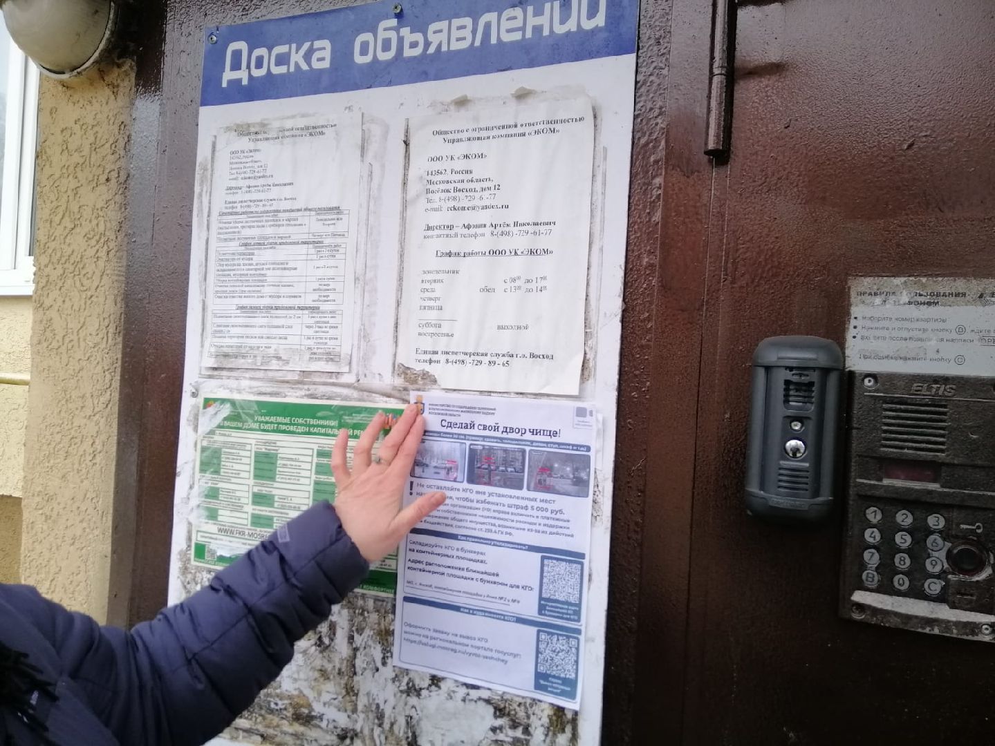 городской округ восход, сделай свой двор чище, вертикалки,незаконный выброс мусора,