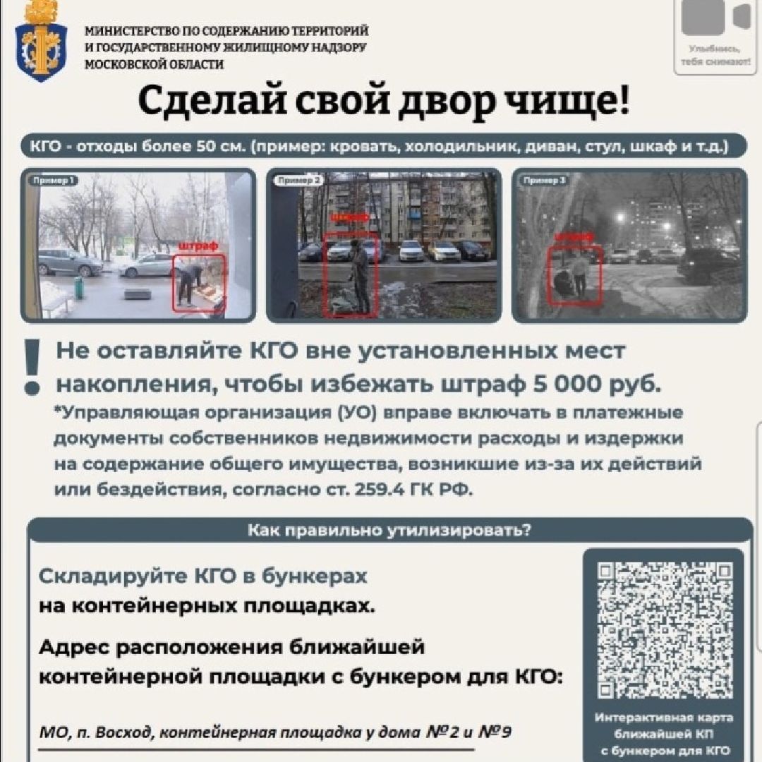 городской округ восход, сделай свой двор чище, вертикалки,незаконный выброс мусора,