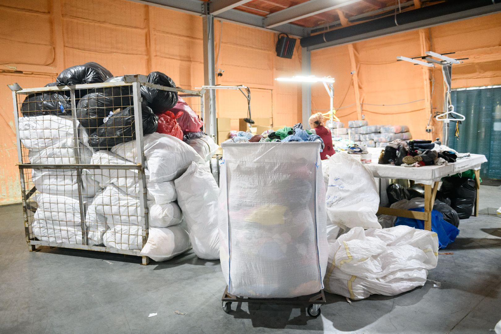 благодарный шкаф, лыткарино, благоустройство, экология, экологическое мышление, вертикалки,