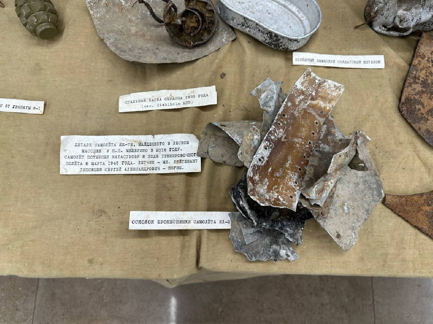 патриотическая акция, домодедово,