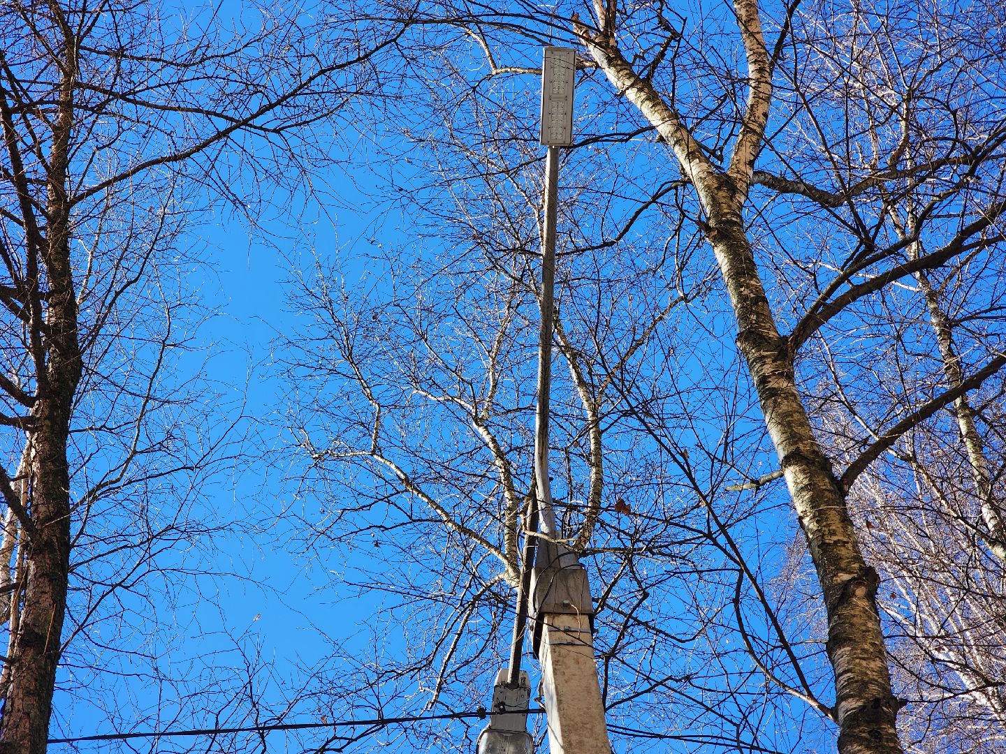 пушкино, фонарь, ремонт, освещение улиц,