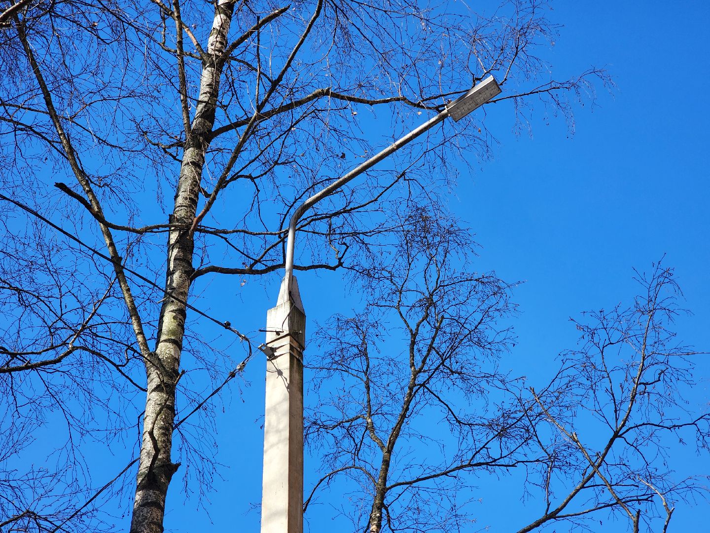 пушкино, фонарь, ремонт, освещение улиц,