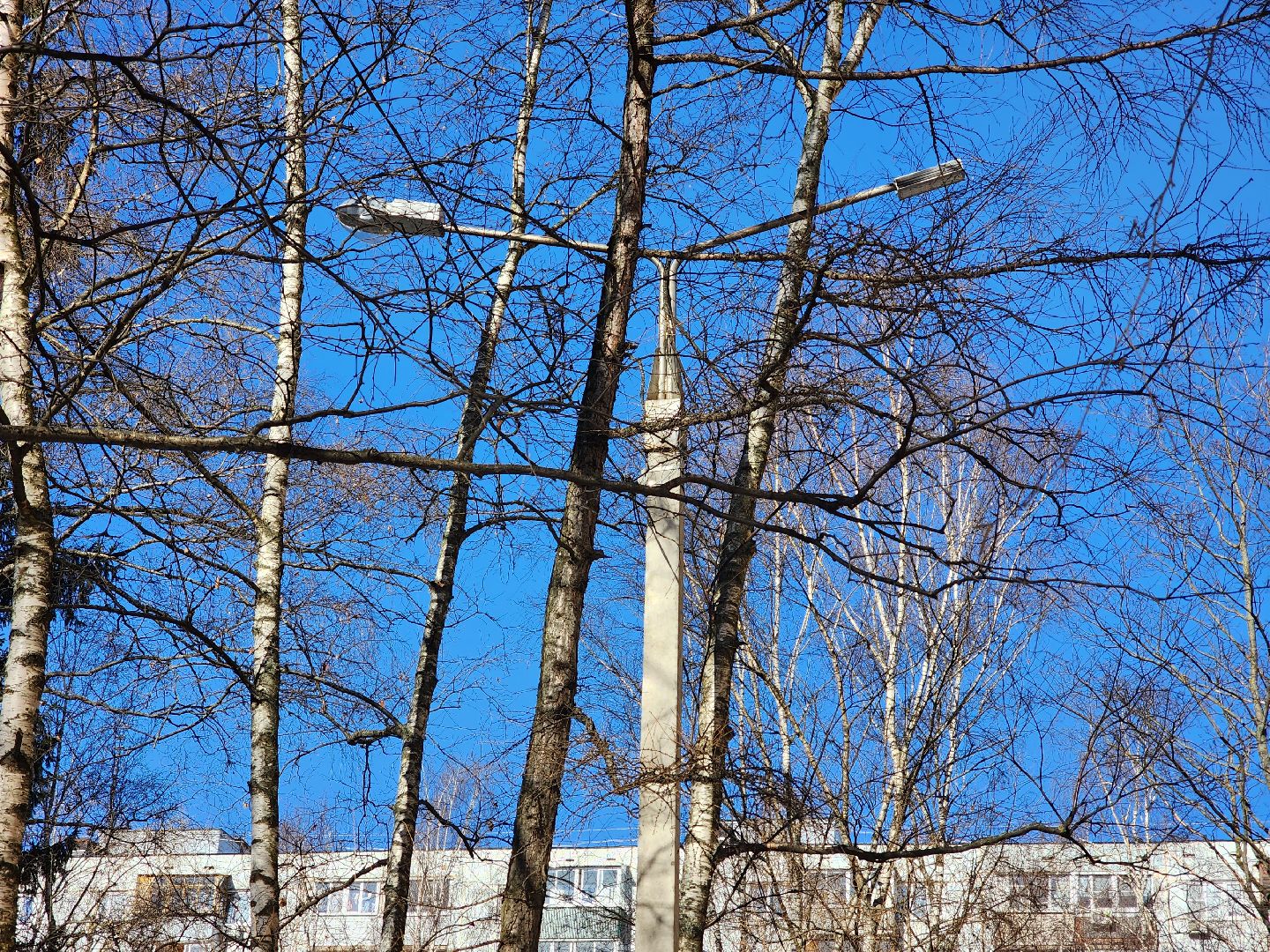 пушкино, фонарь, ремонт, освещение улиц,