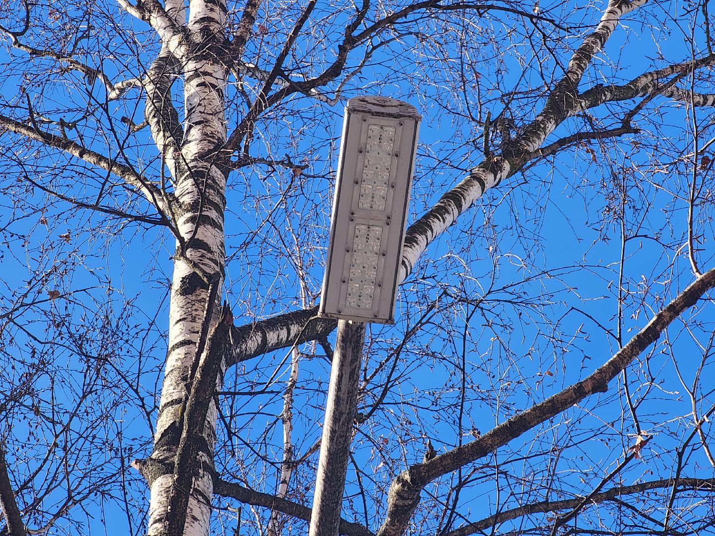 пушкино, фонарь, ремонт, освещение улиц,