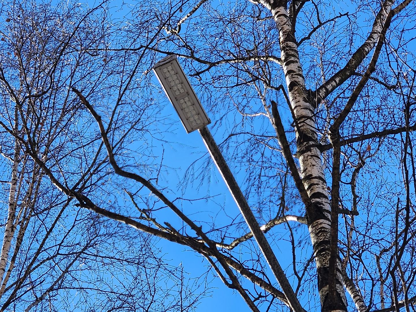 пушкино, фонарь, ремонт, освещение улиц,