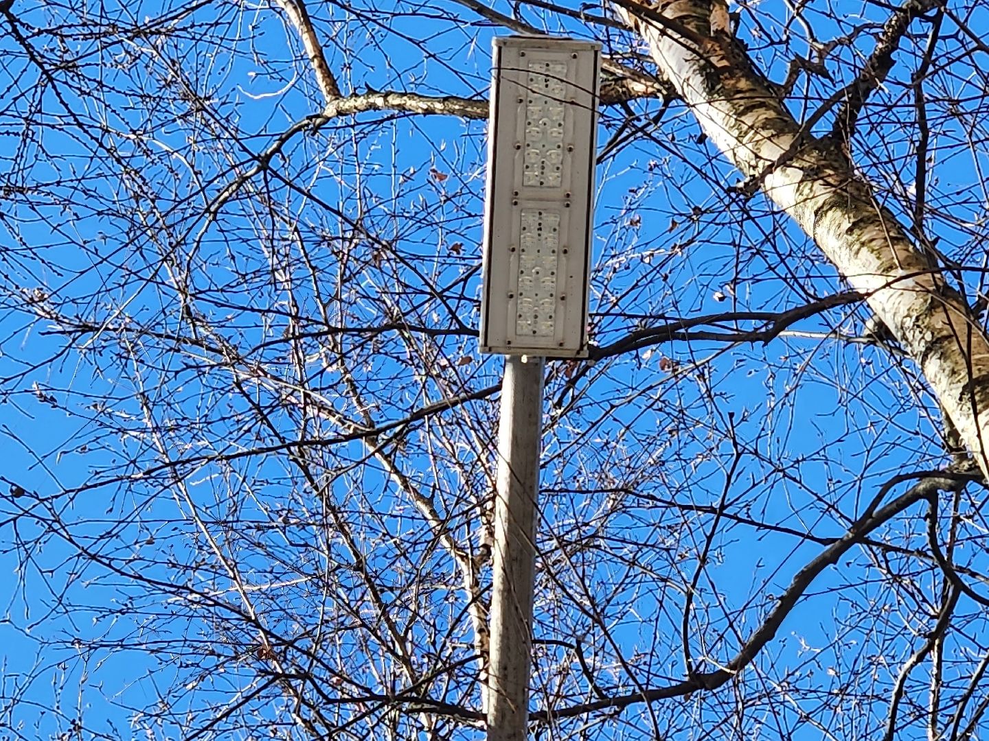 пушкино, фонарь, ремонт, освещение улиц,