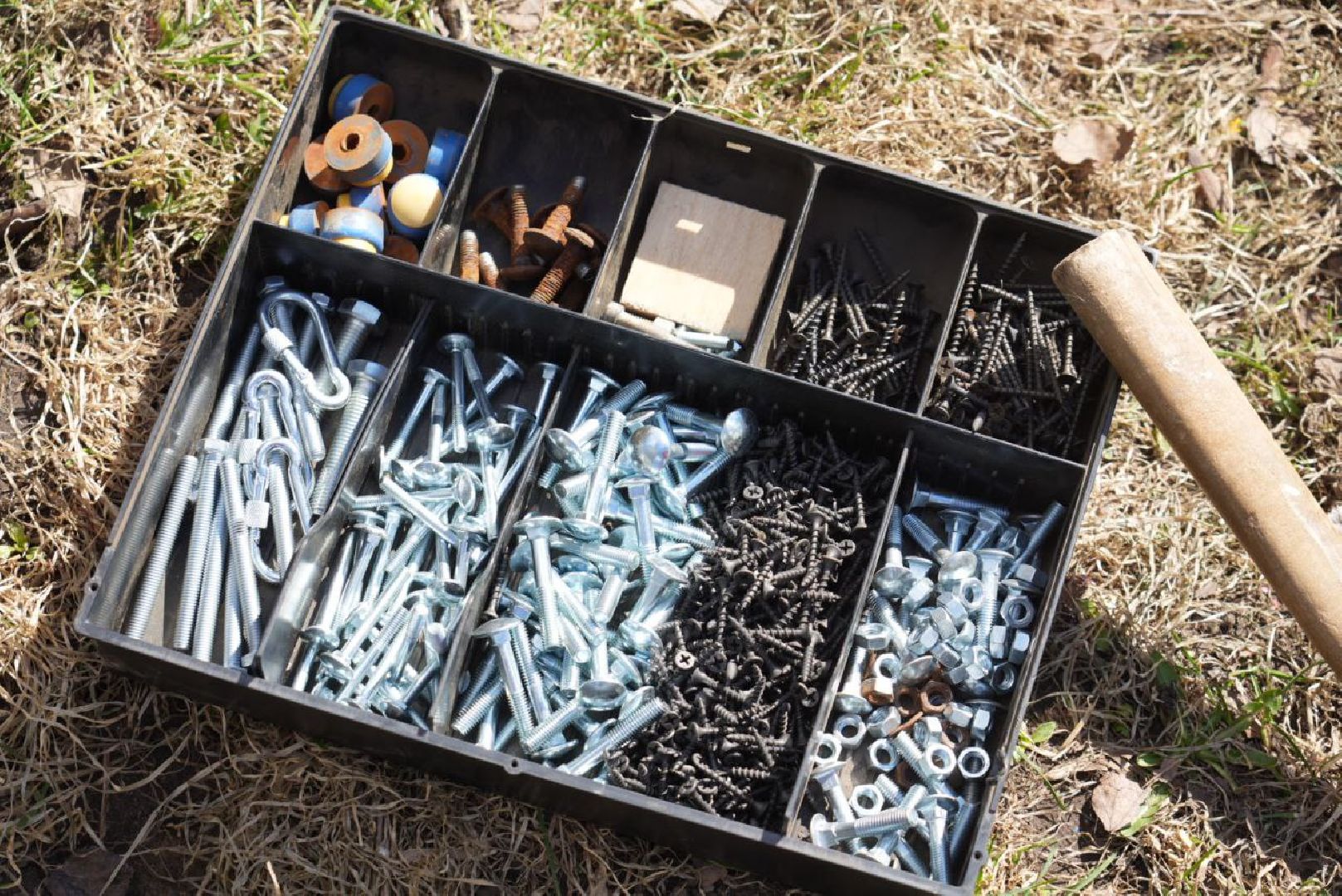 Сергиев Посад, Сергиево-Посадский городской округ, Субботник, Уборка, Жители