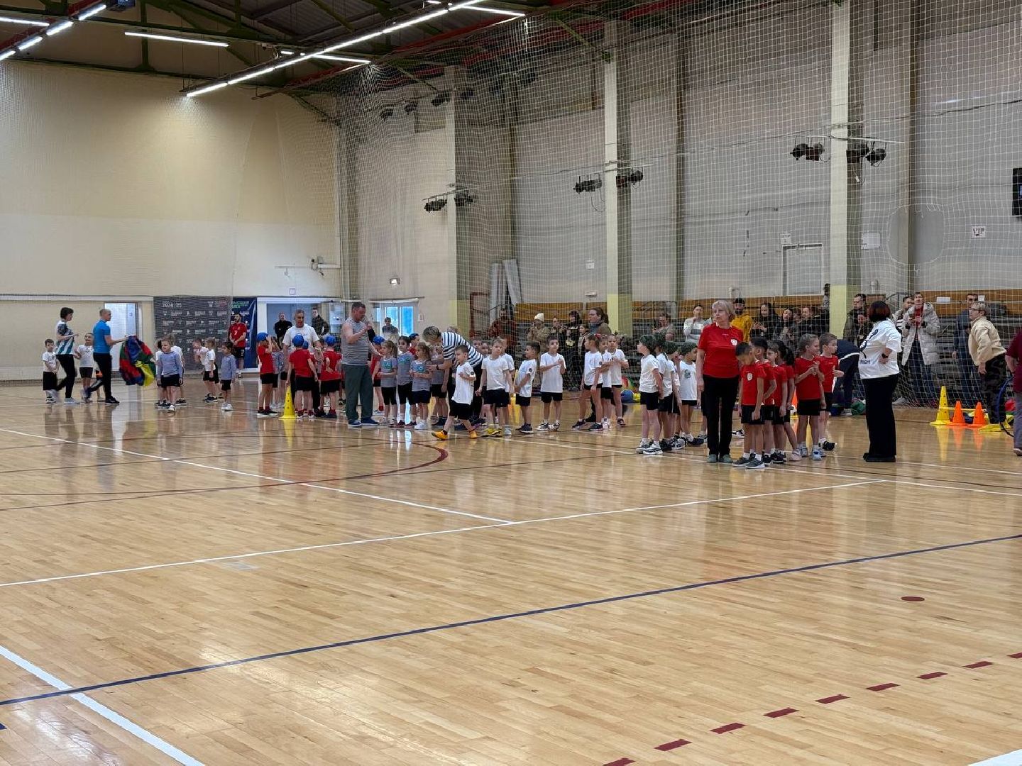 дети, вертикалки, спорт, детсад, реутов,