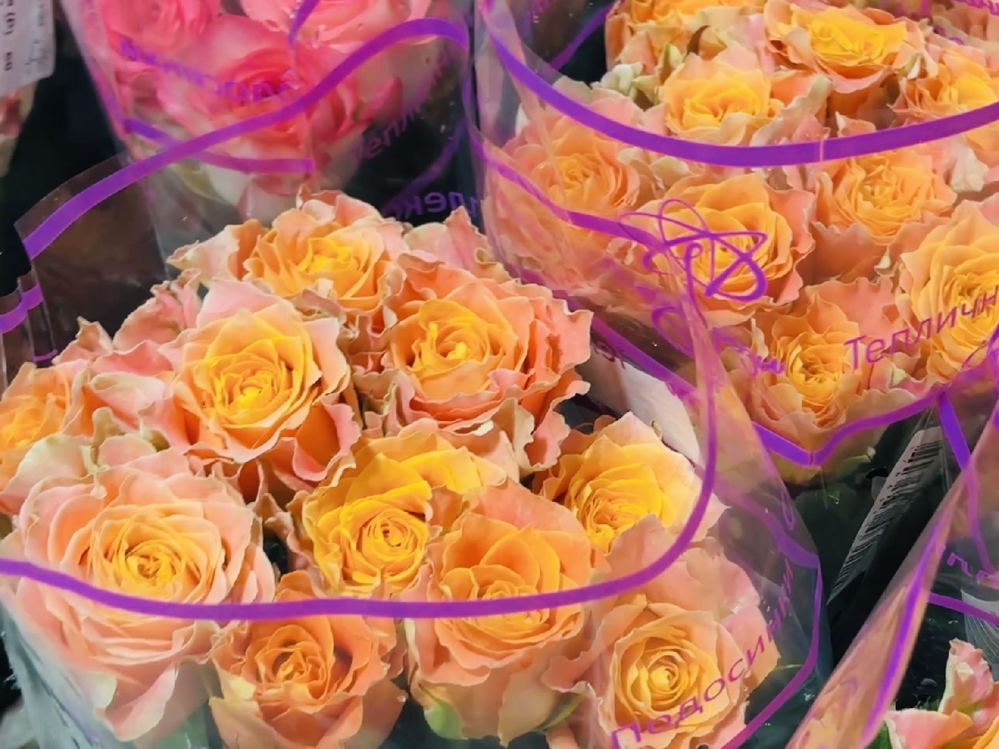 раменское, тепличный комплекс, 8 марта, цветы, розы,