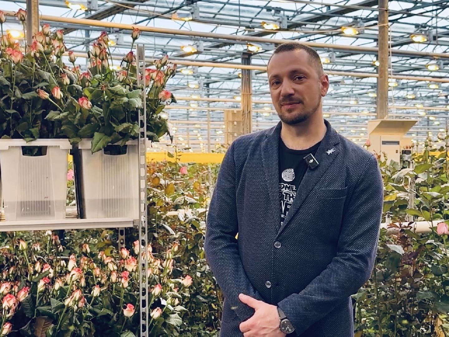 раменское, тепличный комплекс, 8 марта, цветы, розы,