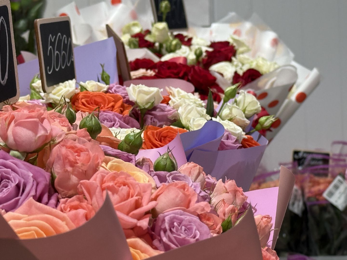 раменское, тепличный комплекс, 8 марта, цветы, розы,