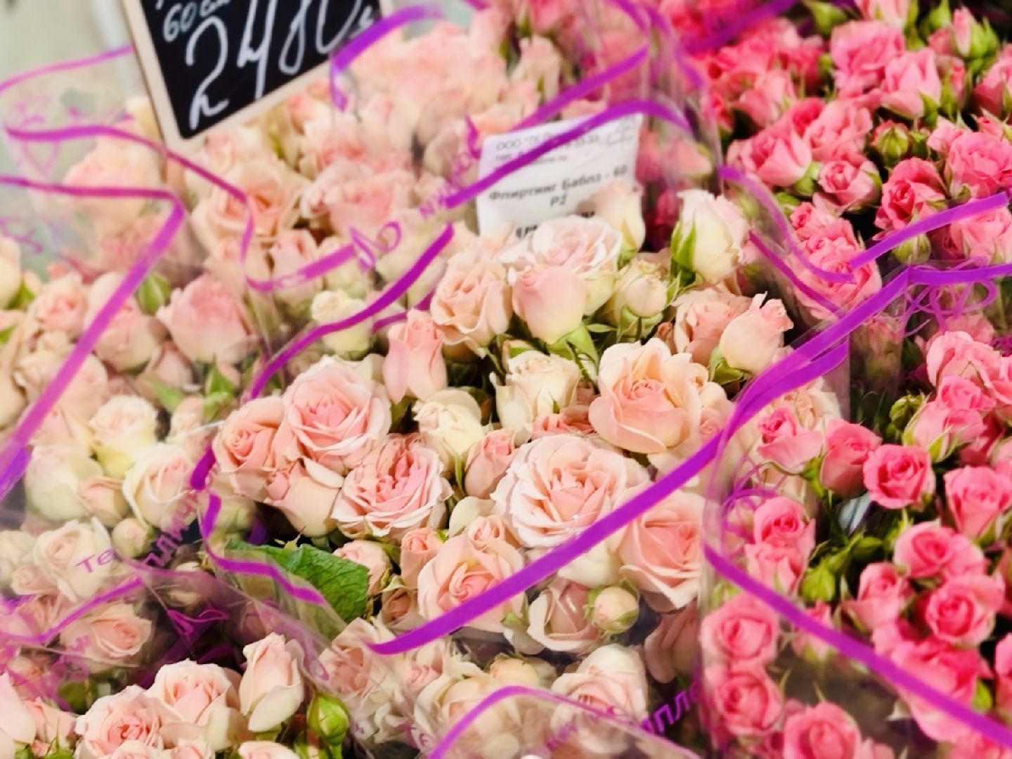 раменское, тепличный комплекс, 8 марта, цветы, розы,