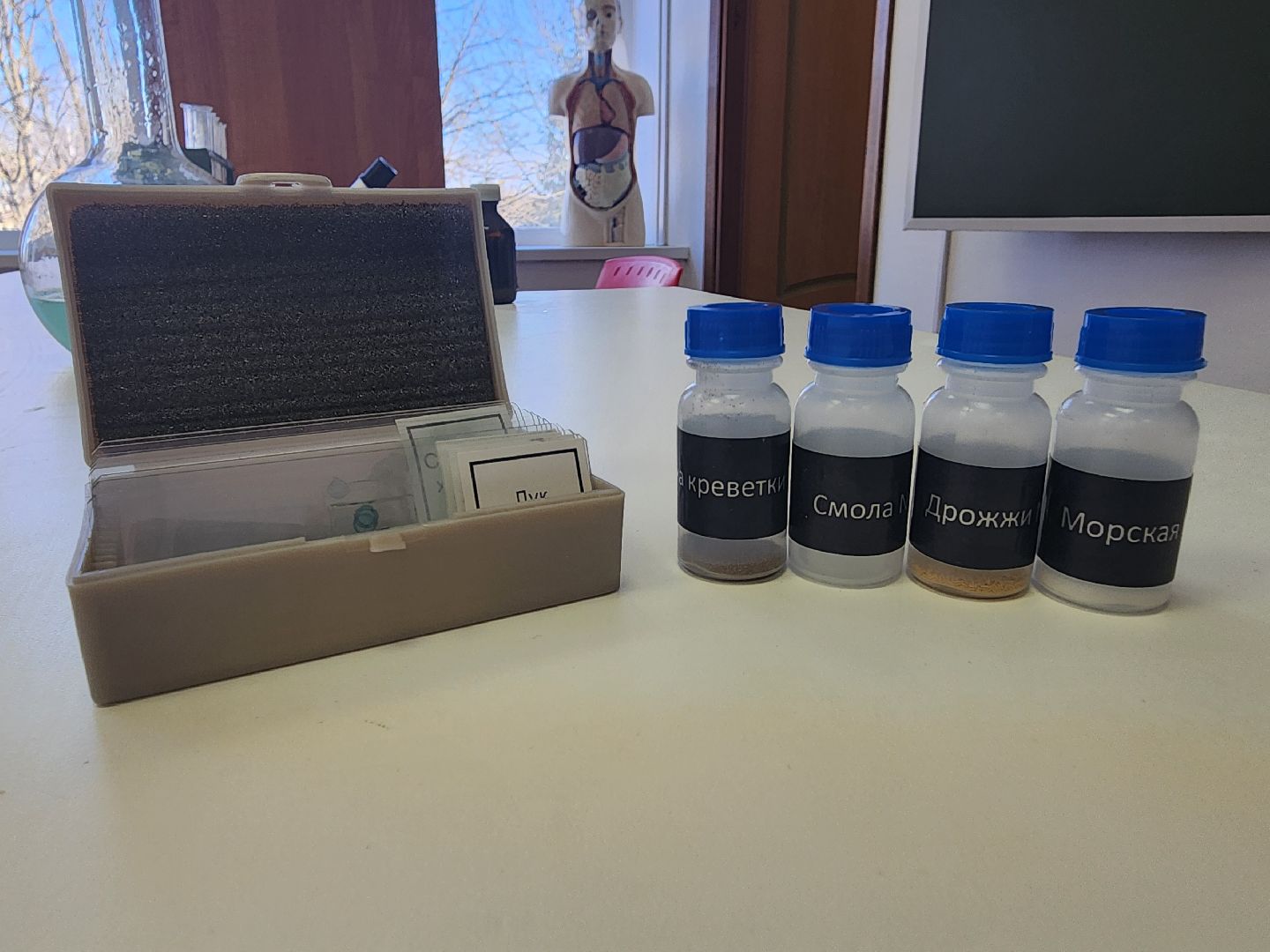 вертикалки, Зарайск, Молодой специалист, Школа, Мендюкинская школа, Образование,