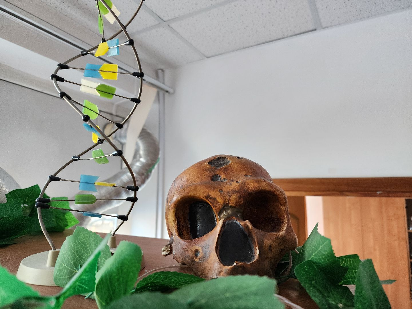 вертикалки, Зарайск, Молодой специалист, Школа, Мендюкинская школа, Образование,