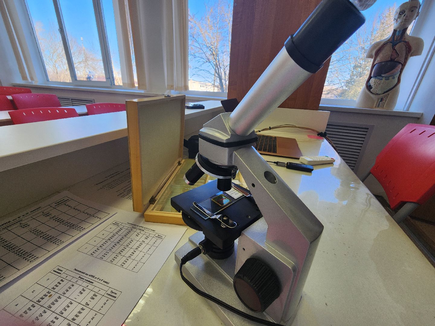 вертикалки, Зарайск, Молодой специалист, Школа, Мендюкинская школа, Образование,