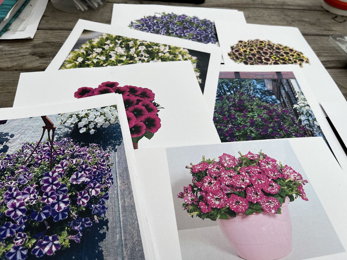 вертикалки, наро-фоминский городской округ, тепличное хозяйство, рассада,