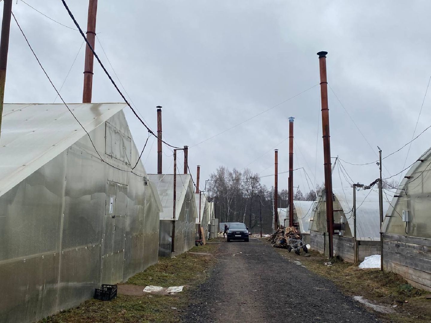 вертикалки, наро-фоминский городской округ, тепличное хозяйство, рассада,