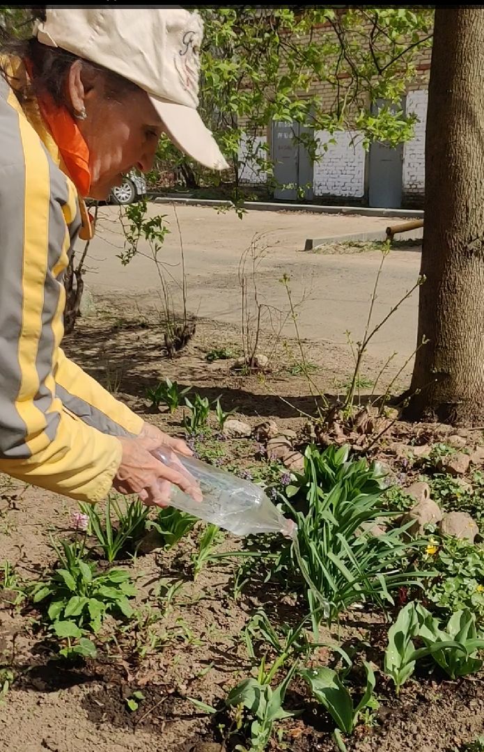 Красноармейск, Пушкинский, субботник, цветник, клумбы