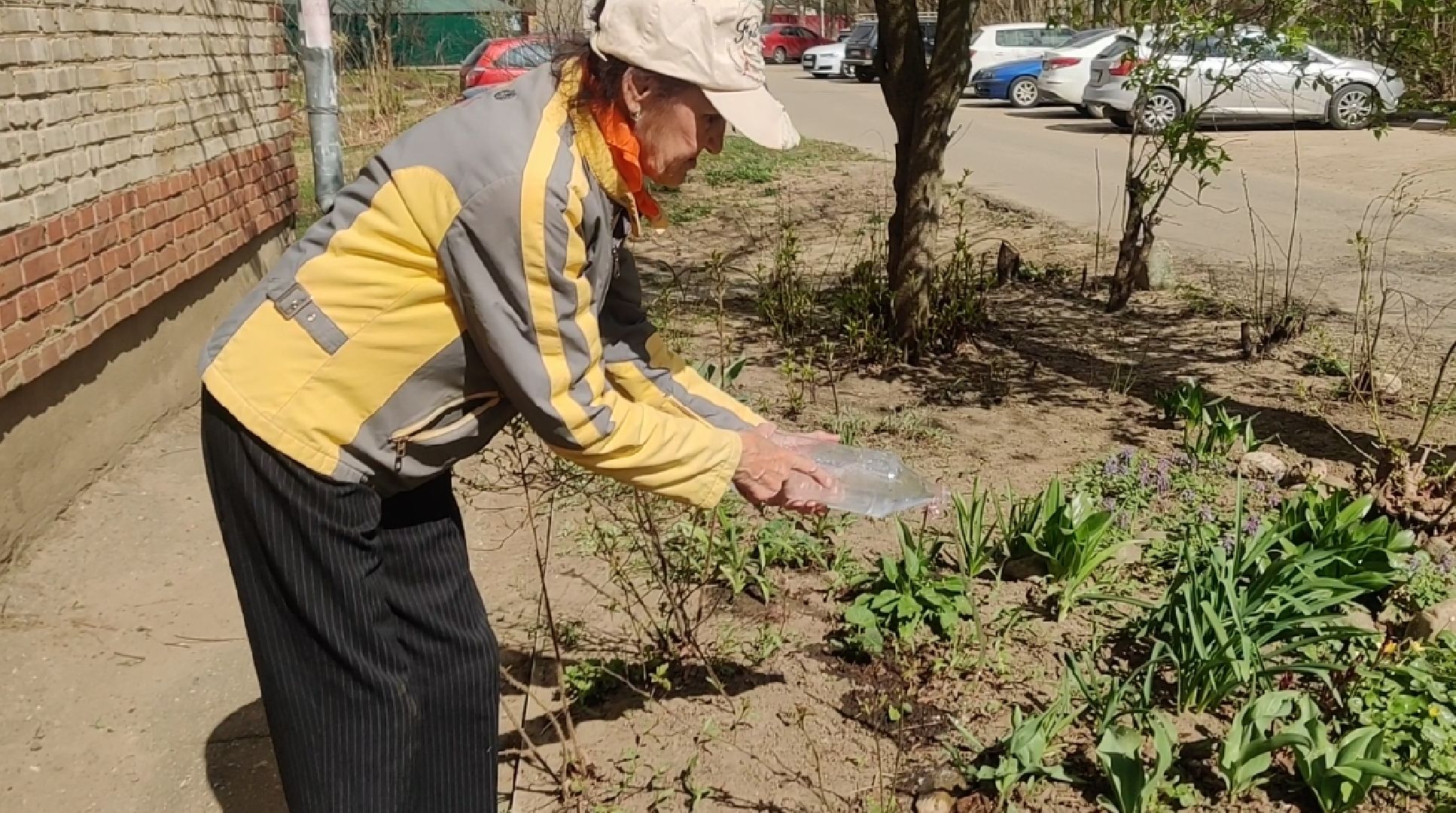 Красноармейск, Пушкинский, субботник, цветник, клумбы